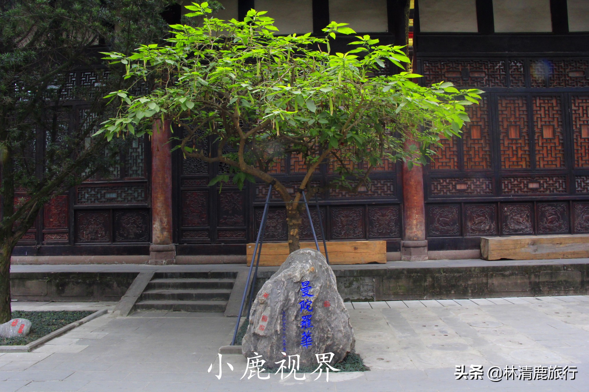 成都第一大寺庙,香火旺盛没门票,唐僧在此受戒