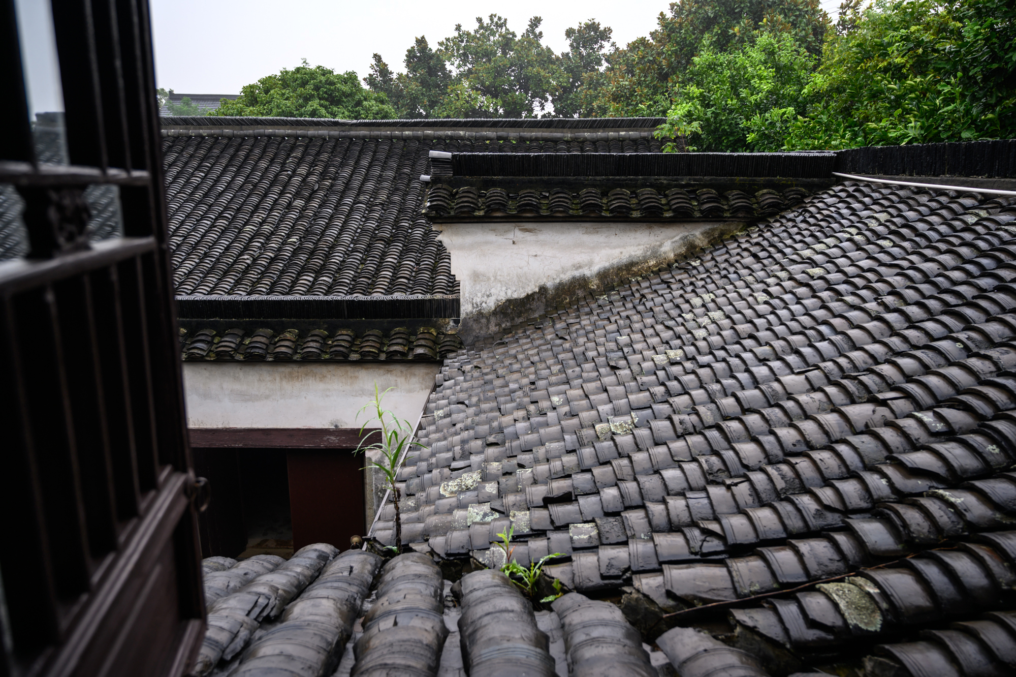 海宁值得一去的3处名人故居，人少景美文化底蕴深厚，门票还不贵