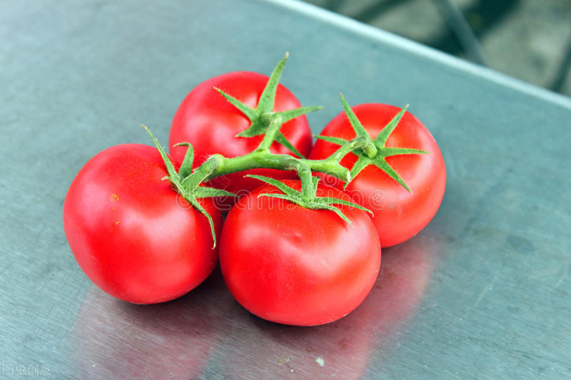夏天保存西红柿，别放冰箱了，教你一个土方法，放久了也鲜甜