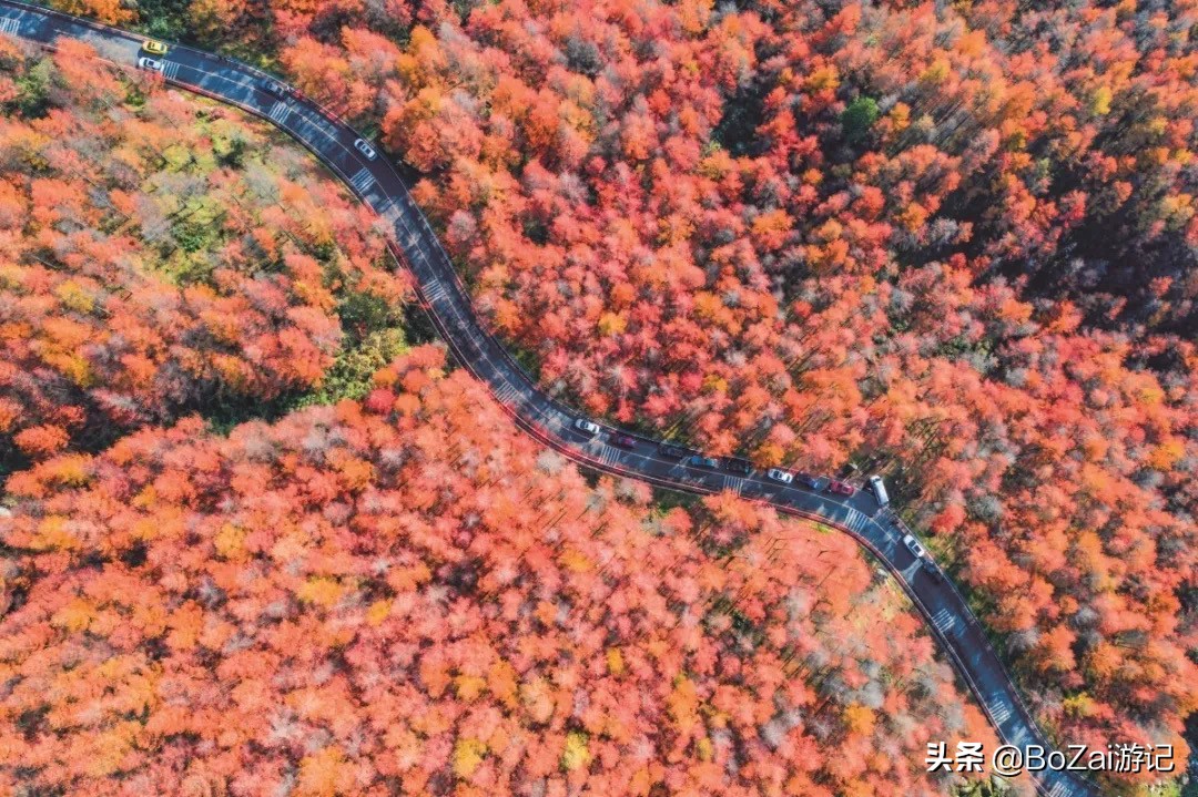 到四川巴中市旅游必去的10个景点，你去过几个？最喜欢哪个景点？