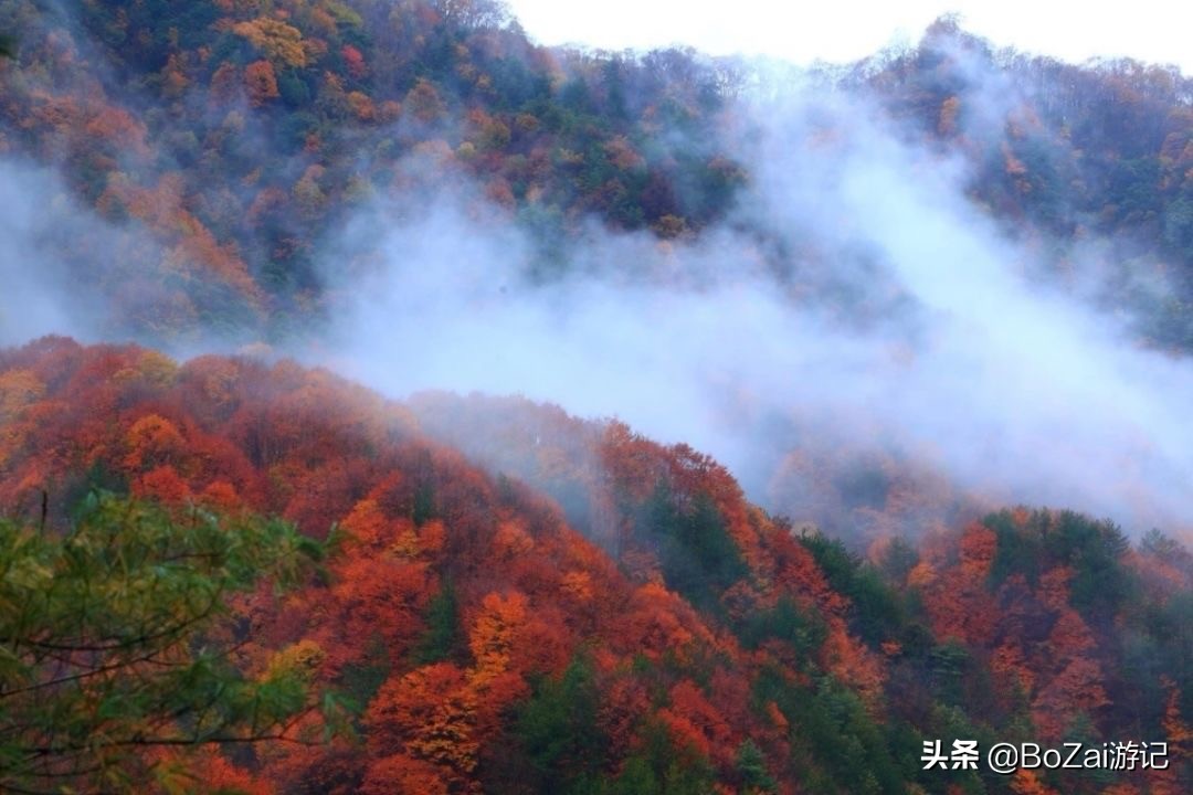 到四川巴中市旅游必去的10个景点，你去过几个？最喜欢哪个景点？