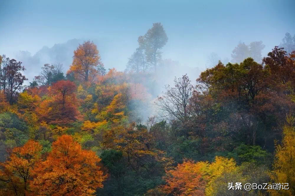 到四川巴中市旅游必去的10个景点，你去过几个？最喜欢哪个景点？