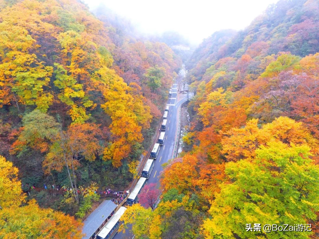 到四川巴中市旅游必去的10个景点，你去过几个？最喜欢哪个景点？