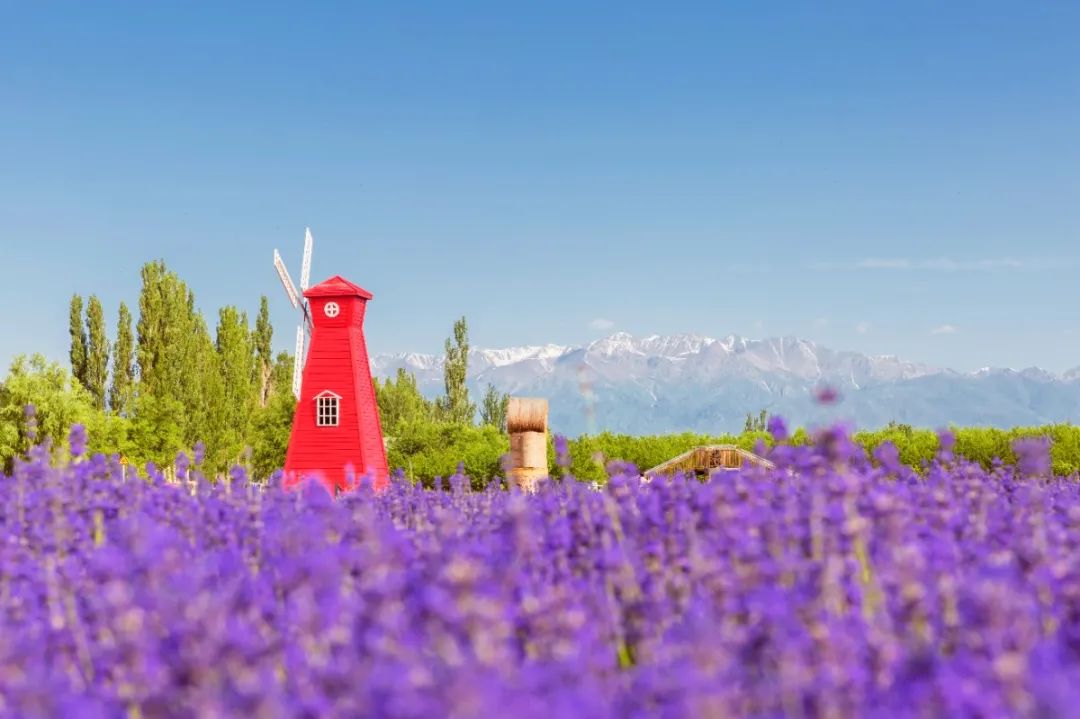 最适合端午节去的8个旅行地，人少景美，第一个就想出发