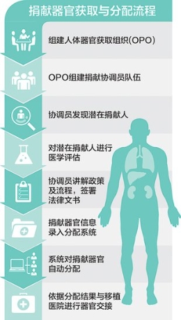 国家卫计委：9月1日起捐献器官必须统一分配