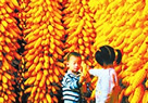 凯风图解：聚焦三农11年