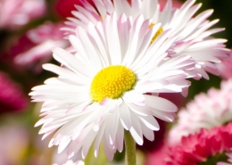 春花烂漫入药来</a> <a target=_blank href=http://health.kaiwind.com/rd/201404/01/t20140401_1515227.shtml>古人养生“三支点”</a>