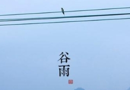 谷雨节气防湿邪体痛</a> <a target=_blank href=http://health.kaiwind.com/rd/201404/20/t20140420_1561249.shtml>烹饪不当饭菜失营养</a>