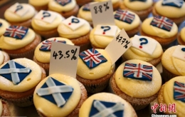 爱丁堡“选票”蛋糕预测公投结果