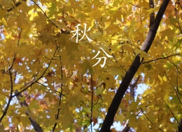 秋分节气：“收获”健康的好季节