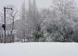 下雪天健康养生全攻略(图)