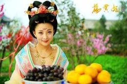 杨贵妃对大唐朝的GDP有哪些贡献