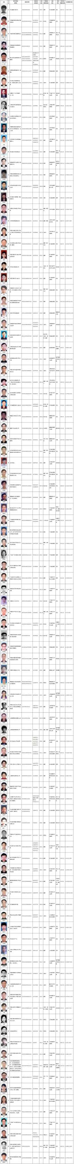 中国红色通缉令缉拿百名外逃人员