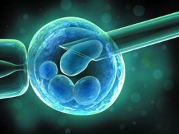 中国科学家发现细胞结构“返老还童”机制