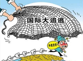 31省份成立追逃办 发现外逃24小时内上报