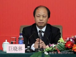 巨晓林当选全总副主席 不享有副部级待遇