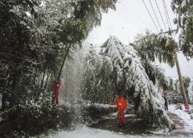 寒潮暴雪大风三警齐发 积雪达30CM