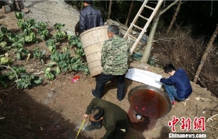 农妇被巫师装木桶蒸驱鬼魂治病致死