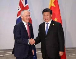 看到这个新闻 代购哭成一片！吃货们笑了