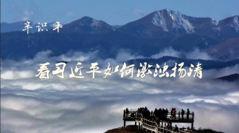 学习进行时 辛识平：看习近平如何激浊扬清