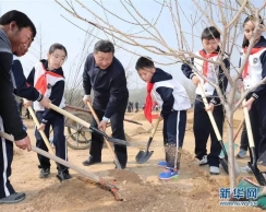 习近平：期望天蓝地绿水净