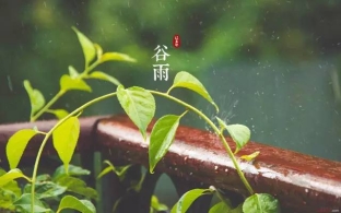 今日谷雨，为什么要“祭仓颉”你知道吗？