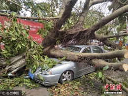 早新闻：台风“天鸽”席卷中国多地