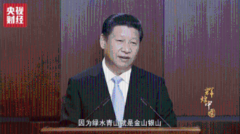 习近平总书记 亲手种下一棵“生命之树”