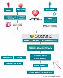 一场五个小时1200公里的生命接力