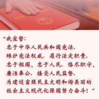 进行宪法宣誓：以后都必须要这样做