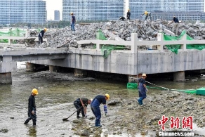 对“未批先建”建设项目拉网式排查并处罚