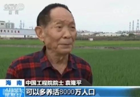 袁隆平海水稻将在今年首次全国大范围试种