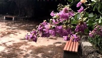 谷雨时节雨量开始明显增多！当心体内湿热