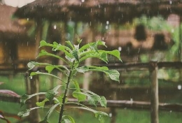 “天要下雨”为什么要扯上“娘要嫁人”呢