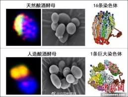 早新闻：发改委回应下半年国内物价的走势