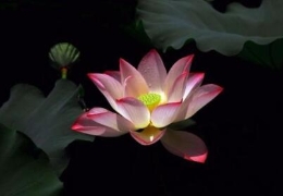 《六祖坛经》十句经典佛语：让你大彻大悟