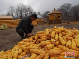 农业农村部：农民丰收节弘扬乡村传统文明