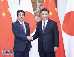 习近平会见日本首相安倍晋三