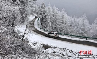 暴雨暴雪双预警齐发 全国多地将迎雨雪天气