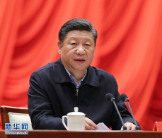 习近平在中青年干部培训班开班式上发表讲话