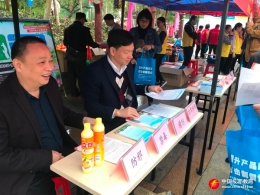 广州市在“禾雀花文化旅游节”宣传反邪教