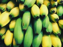 饭后吃香蕉能助减肥？吃香蕉别犯三个错误