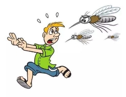 为什么有些人特别招蚊子？教你5招驱蚊大法