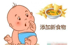 小宝宝如何添加辅食？有哪些原则主要注意