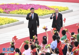 习近平同土耳其总统埃尔多安举行会谈