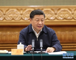 习近平出席深化党和国家机构改革总结会议