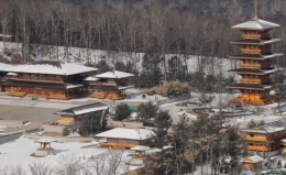 美国《商业内幕》网揭秘邪教龙泉寺