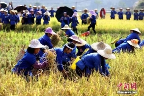 早新闻：2020年国考15日报名 拟招2.4万人