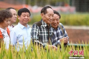 早新闻：“携号转网”服务目前进展很顺利