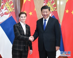 习近平会见塞尔维亚总理布尔纳比奇